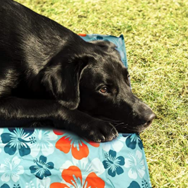 amazon-matelas-chien-navaris